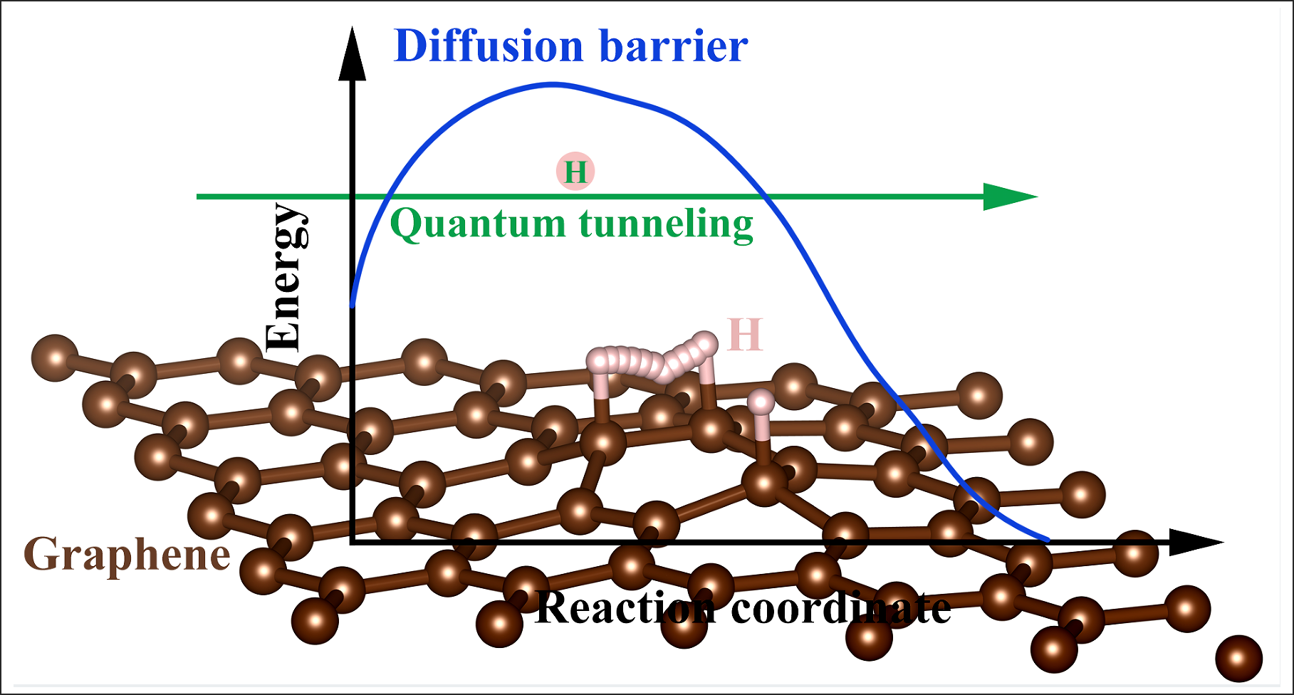 Quantum tunneling of hydrogen on graphene surface