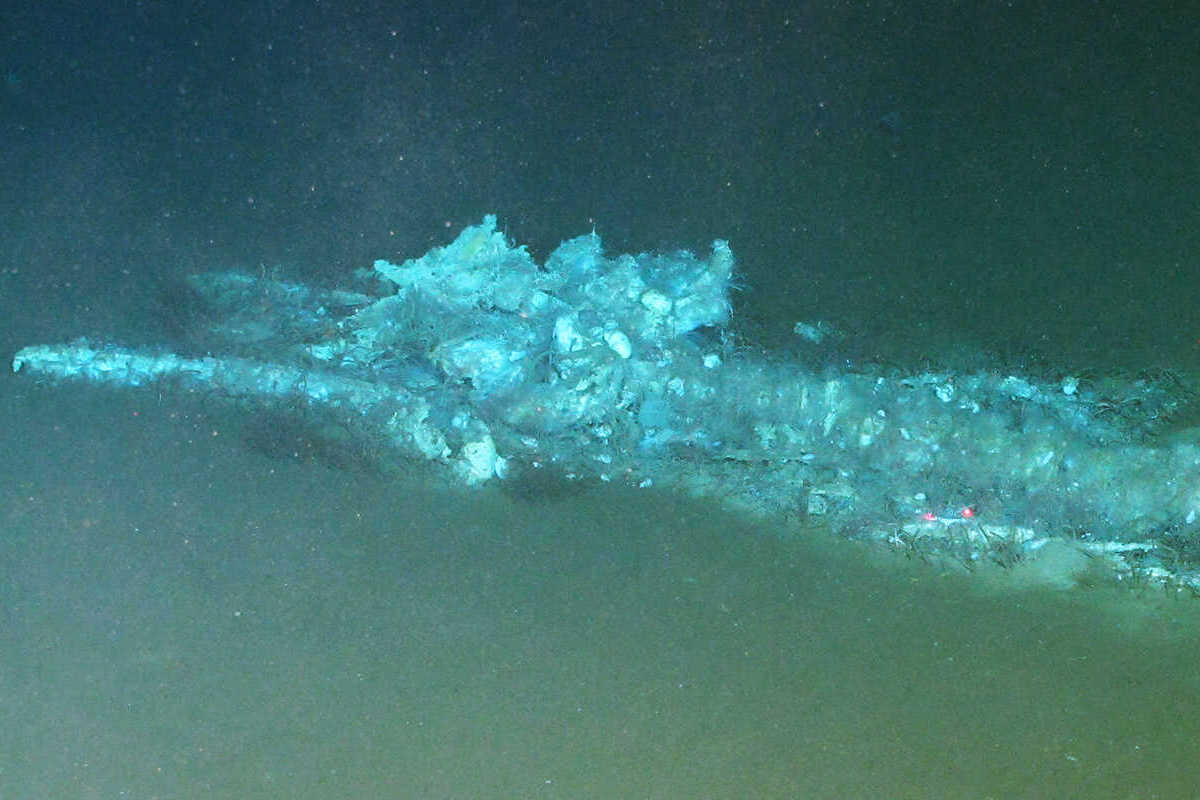 Newly Discovered “Whale Necropolis” Enhances Understanding of Deep-Sea Ecology