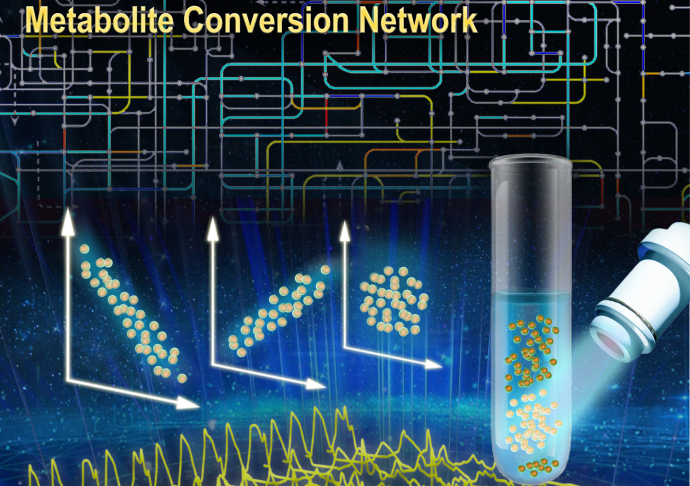 New Ramanome Technology Unveils Metabolite Conversion Network from Single Cells