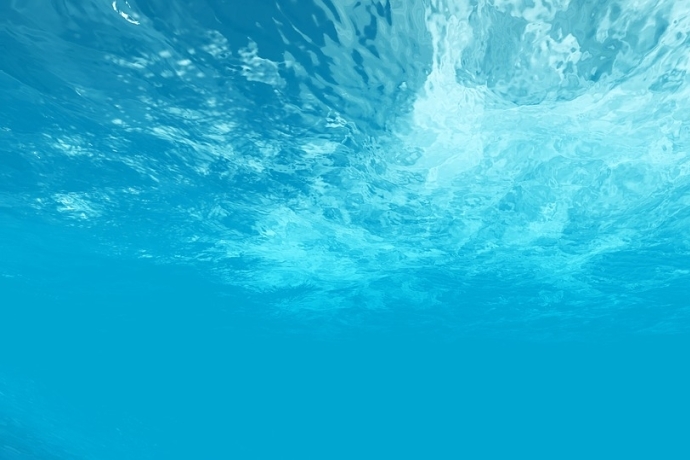 Researchers Develop Rapid in-situ Monitoring System of Dissolved CO<sub>2</sub> in Seawater