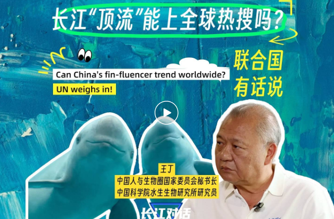 Can China's Fin-fluencer Trend Worldwide?<br/>